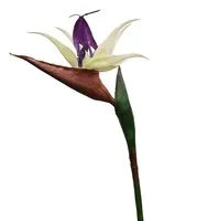 Artificial Bird of Paradise<br>Purple