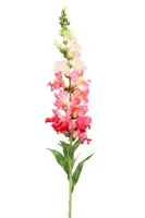 Artificial Snapdragon<br>Beauty