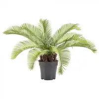 Artificial Cycad Palm<br>53cm