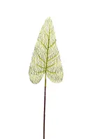 Artificial Lace Leaf<br>48cm