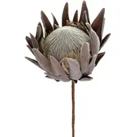 Artificial Dried Look King Protea