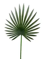 Artificial Fan Palm Leaf<br>76cm
