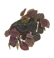 Artificial Hanging Pepperomia Bush<br>30cm