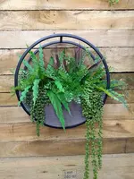 1. Circle Wall Planter<br>40cm Natural thumbnail