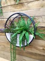 1. Circle Wall Planter<br>49cm White Wash thumbnail