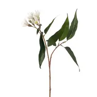 Artificial Eucalyptus Flowering Spray<br>Cream
