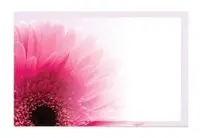 Gift Card<br>White with Pink Gerbera