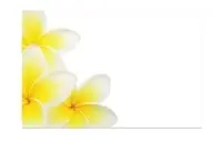 Gift Card<br>White with Frangipani