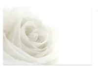 Gift Card<br>White Rose 