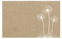 Gift Card<br>Kraft with Dandelion Spray