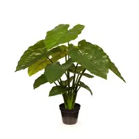 Artificial Taro Plant<br>56cm