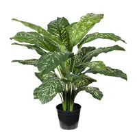 Artificial Dieffenbachia Plant<br>86cm