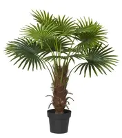 Artificial Fan Palm<br>1m