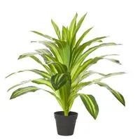 Artificial Dracaena Plant<br>65cm