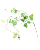 Artificial Pothos Vine Stem<br>1.2m