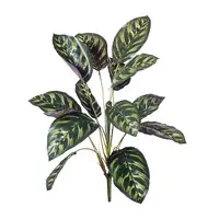 Artificial Calathea Plant<br>43cm