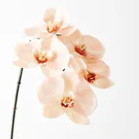 Artificial Phalaenopsis Orchid Spray<br>Salmon 86cm