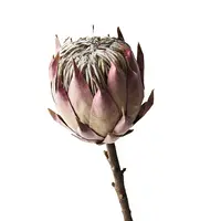 Artificial King Protea<br>Mauve