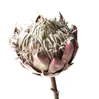 Artificial King Protea<br>Mauve