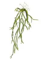 Artificial Hanging Rhipsalis Vine<br>60cm