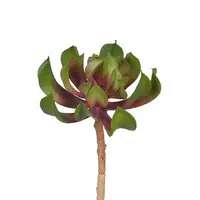 Artificial Succulent<br>Green/Mauve 11cm
