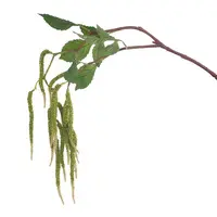 Artificial Amaranthus Spray<br>Green