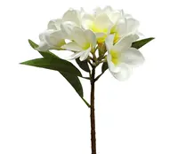 Artificial Frangipani Spray<br>White