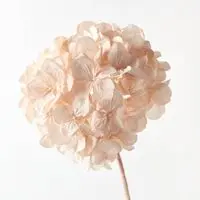 Artificial Hydrangea<br>Champagne