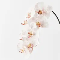 Artificial Phalaenopsis Orchid Spray<br>Latte 96cm