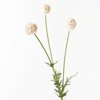 Artificial Scabiosa Stellata Spray<br>Cream