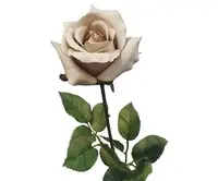 Artificial Ecuador Rose<br>Natural
