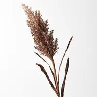 Artificial Plume Grass with Leaves<br>Chocolate Brown