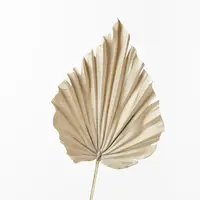Artificial Palm Fan Spear<br>Natural