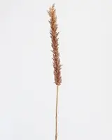 Artificial Long Reed Grass Spray<br>Brown