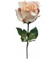 Artificial Ecuador Rose<br>Latte