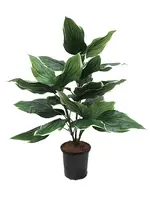 Artificial Hosta Plant<br>