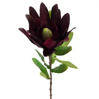 Artificial Leucadendron<br>Burgundy