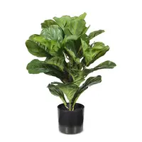 Artificial Fiddle Plant<br>53cm