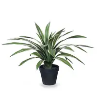 Artificial Yucca Plant<br>46cm Real Touch Variegated