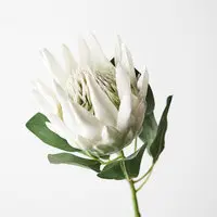 Artificial King Protea<br>White