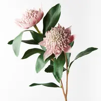 Artificial Waratah Spray<br>Light Pink