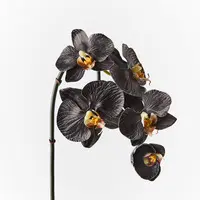 Artificial Phalaenopsis Mini Orchid<br>Black/White 51cm
