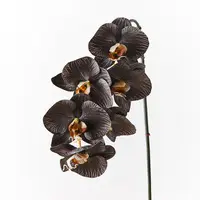Artificial Phalaenopsis Orchid Spray<br>Black/White 86cm