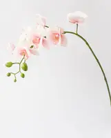 Artificial Phalaenopsis Orchid<br>Pink