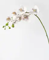Artificial Phalaenopsis Orchid<br>Grey