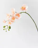 Artificial Phalaenopsis Orchid<br>Peach