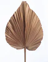 Dried Natural Fan Palm Leaf<br>Coffee - Large