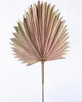 Dried Natural Fan Palm Leaf<br>Pink - X Large