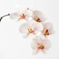 Artificial Phalaenopsis Orchid Spray<br>Latte 86cm