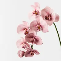 Artificial Phalaenopsis Orchid Spray<br>Dusty Pink